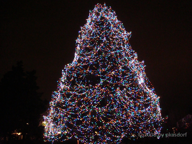 067 Toledo Zoo Light Show [2008 Dec 27].JPG - Scenes from the Toledo Zoo Light Show.